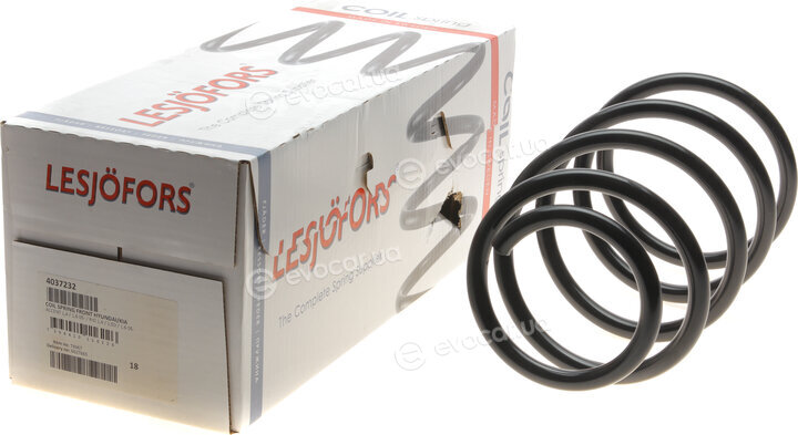 Lesjofors 4037232