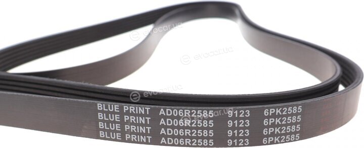 Blue Print AD06R2585