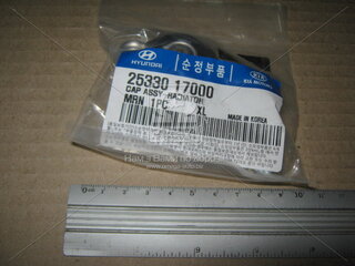 Kia / Hyundai 2533017000