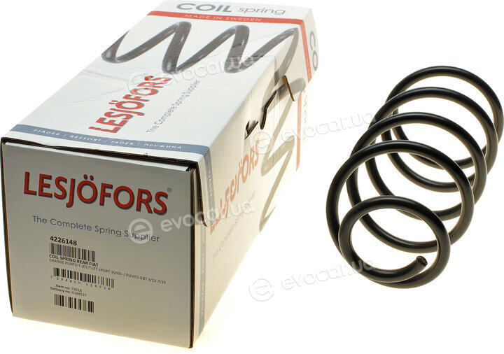 Lesjofors 4226148
