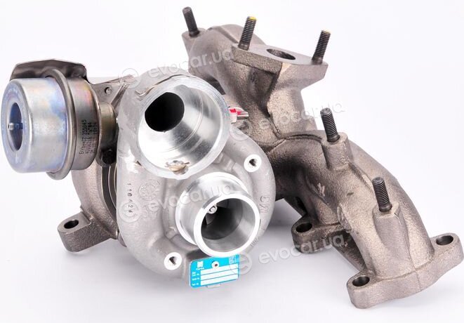 BorgWarner 54399880022