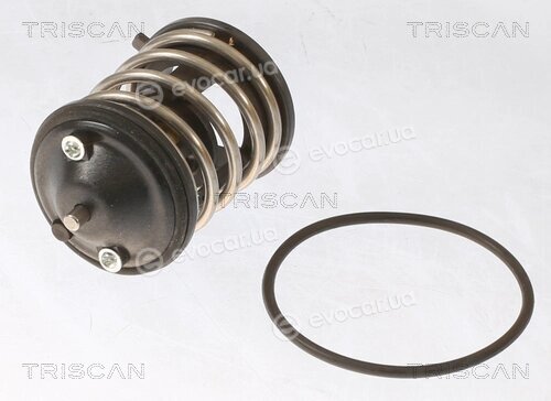Triscan 8620 43287