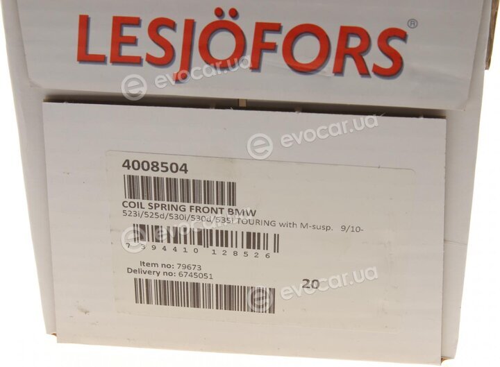 Lesjofors 4008504