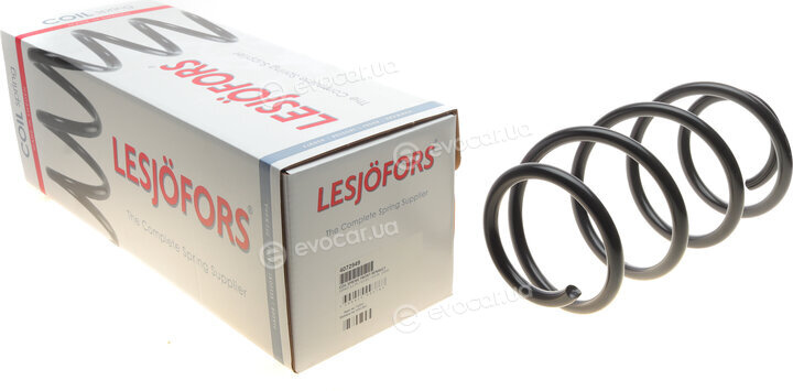 Lesjofors 4072949