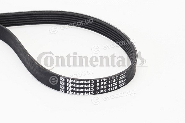 Continental 6PK1120