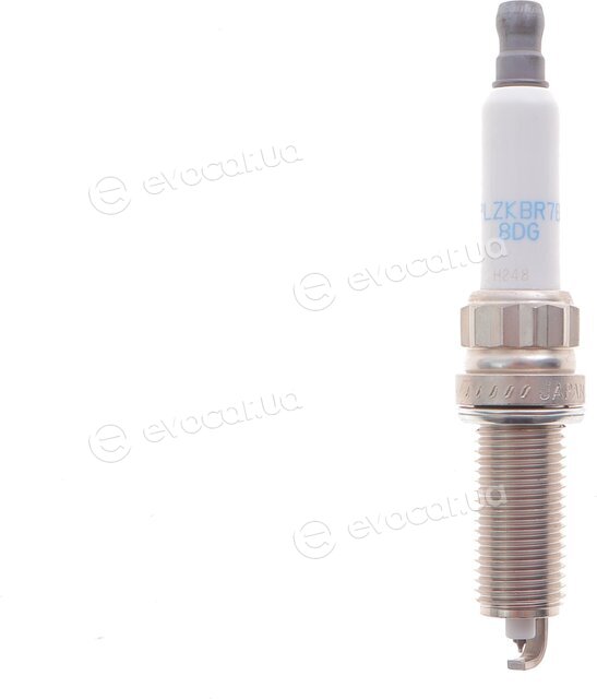 Rotweiss 5960.G4