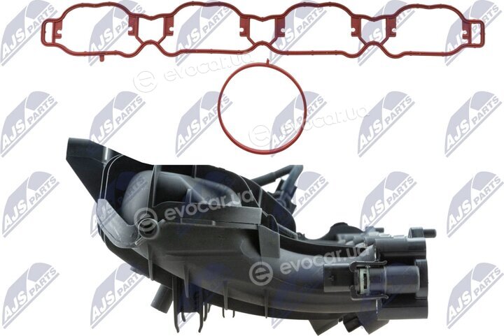 NTY BKS-VW-031