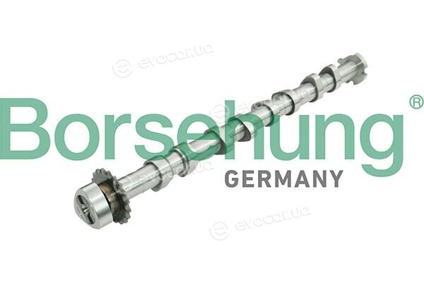 Borsehung B13031
