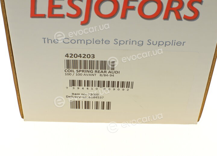 Lesjofors 4204203