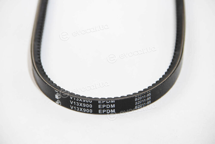 BGA V13X900