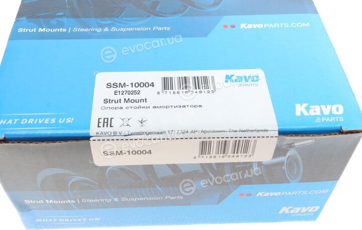 Kavo SSM-10004