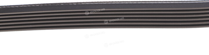 Hutchinson 1468 K 6