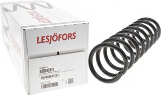 Lesjofors 4056841