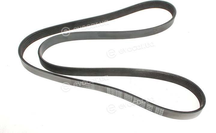 Dayco 6PK1435