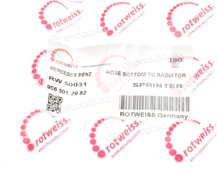 Rotweiss RW50051