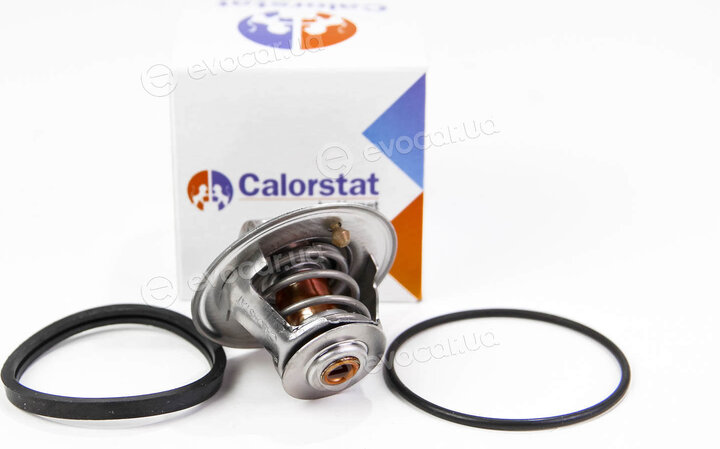 Vernet / Calorstat TH3309.79J