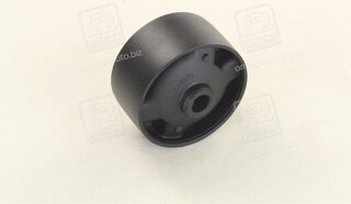 RBI T0910F