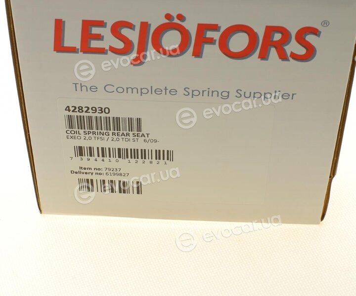 Lesjofors 4282930