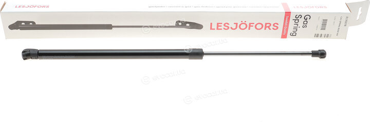 Lesjofors 8195078