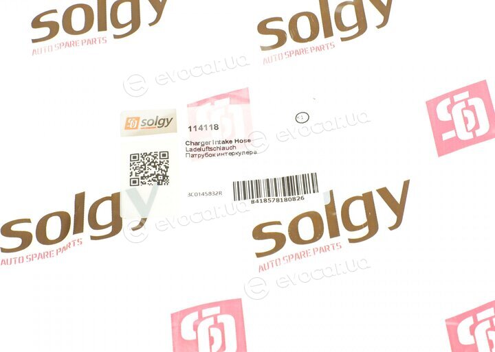 Solgy 114118