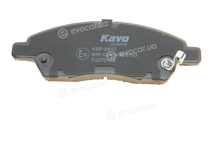 Kavo KBP-6613