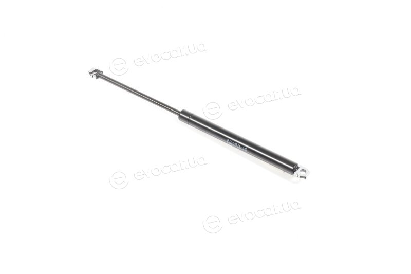 Febi 01787