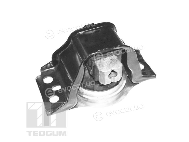 Tedgum TED59889