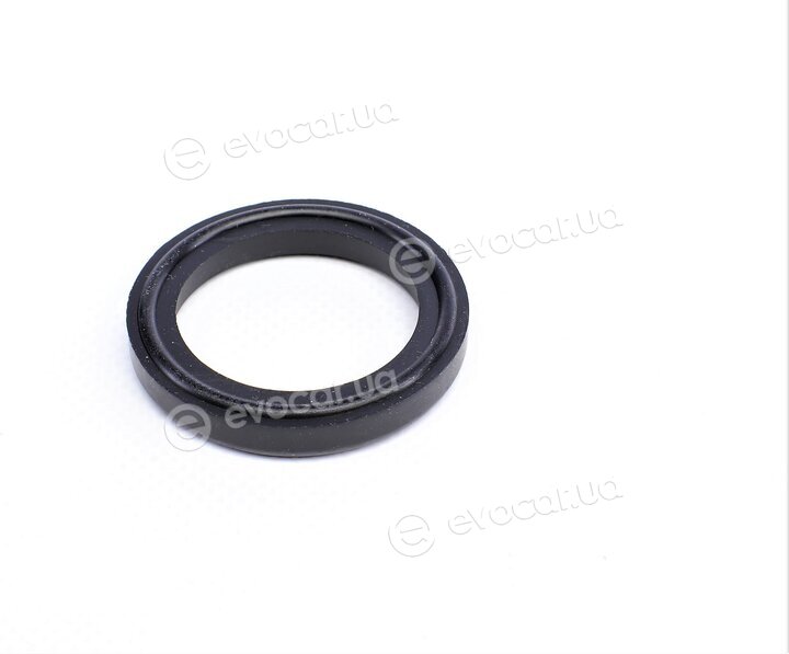 Elring 310.920