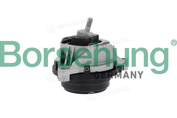Borsehung B12908