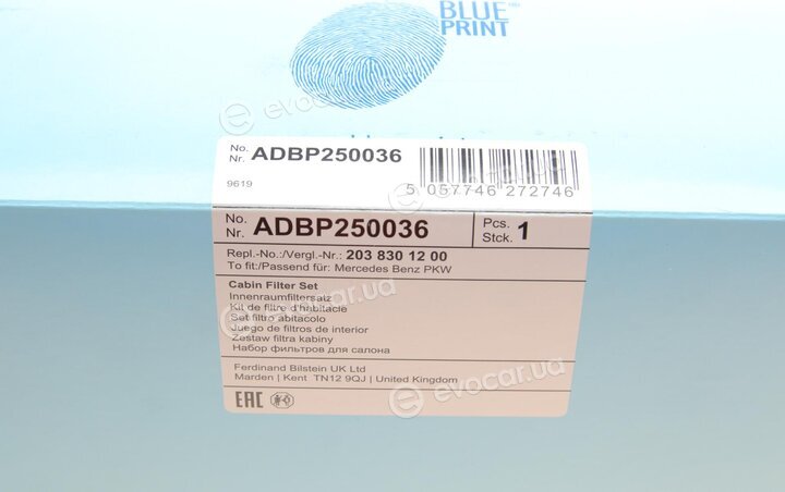 Blue Print ADBP250036