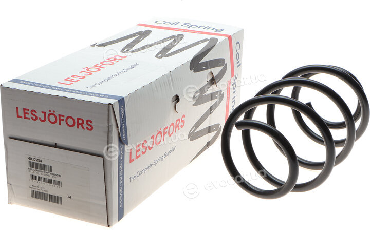 Lesjofors 4037254