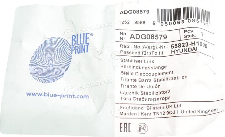 Blue Print ADG08579