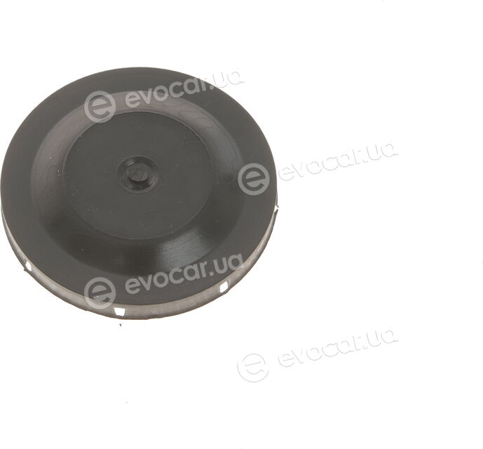 Solgy 110002