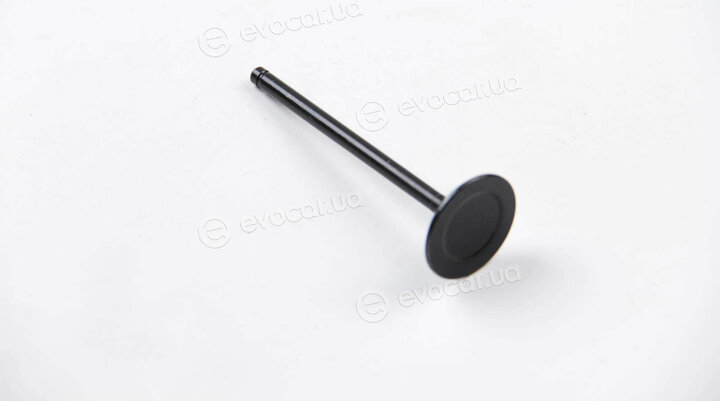 BGA V165660