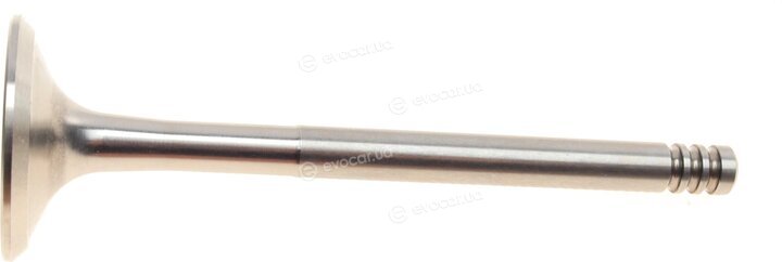 AMP PVWG050-A-0-N