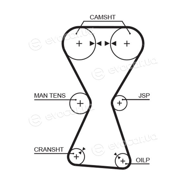 Gates K015255XS