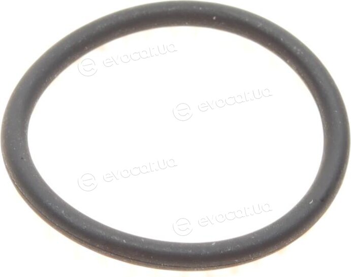 Elring 236.170