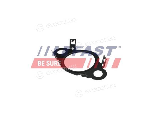 Fast FT50604