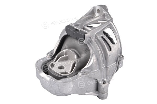 Tedgum TED84847