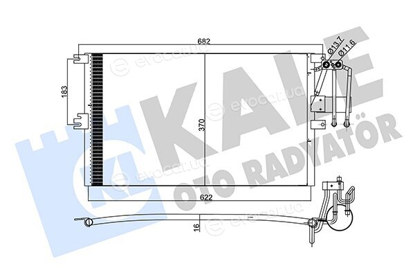 Kale 358205