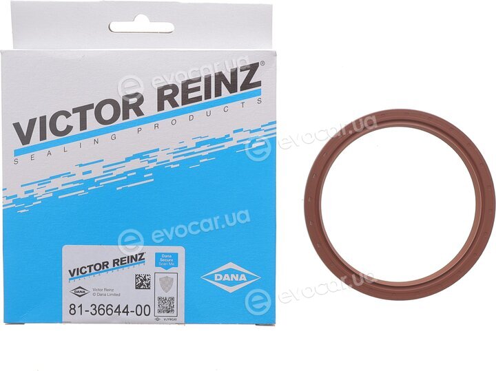 Victor Reinz 81-36644-00