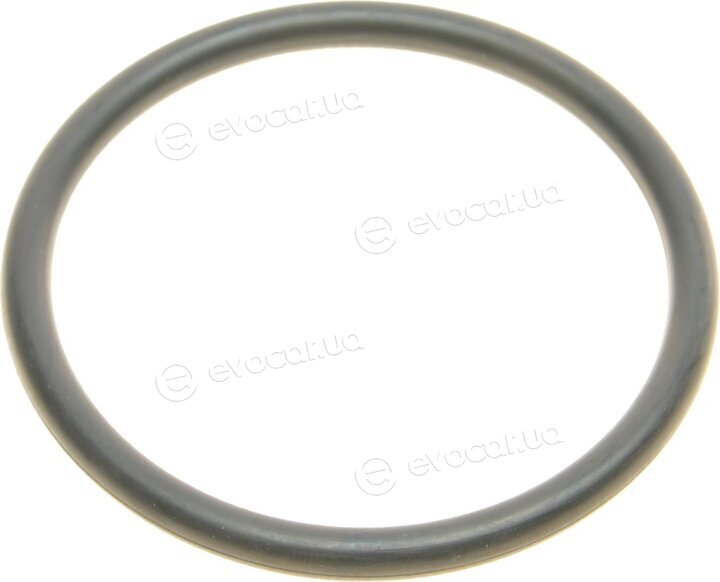 Elring 570.920