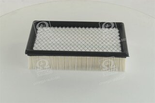 Champion CAF100820P