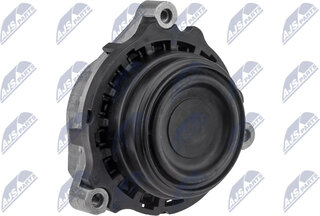 NTY ZPS-BM-030