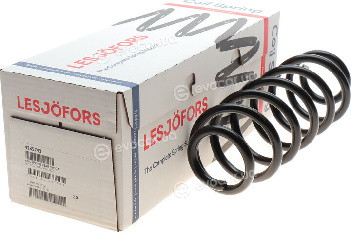 Lesjofors 4285743