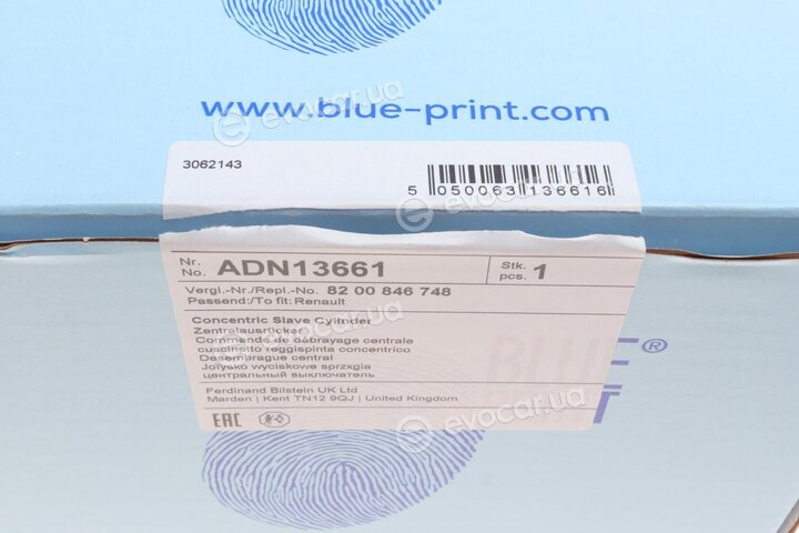 Blue Print ADN13661