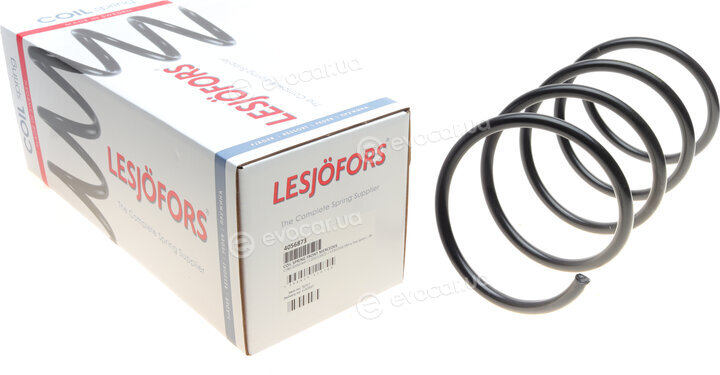 Lesjofors 4056873