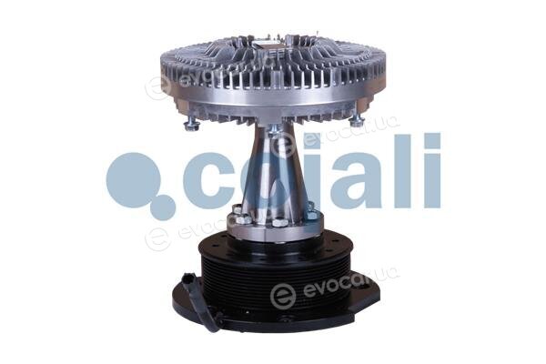 Cojali 7053809
