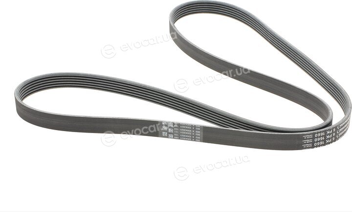 Continental 6PK1660