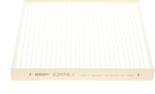 Hengst E3974LI